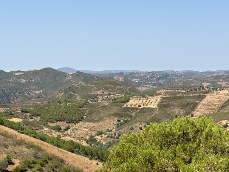 Portugal: Ontmoet dit prachtige land met een Roadtrip van 14 dagen