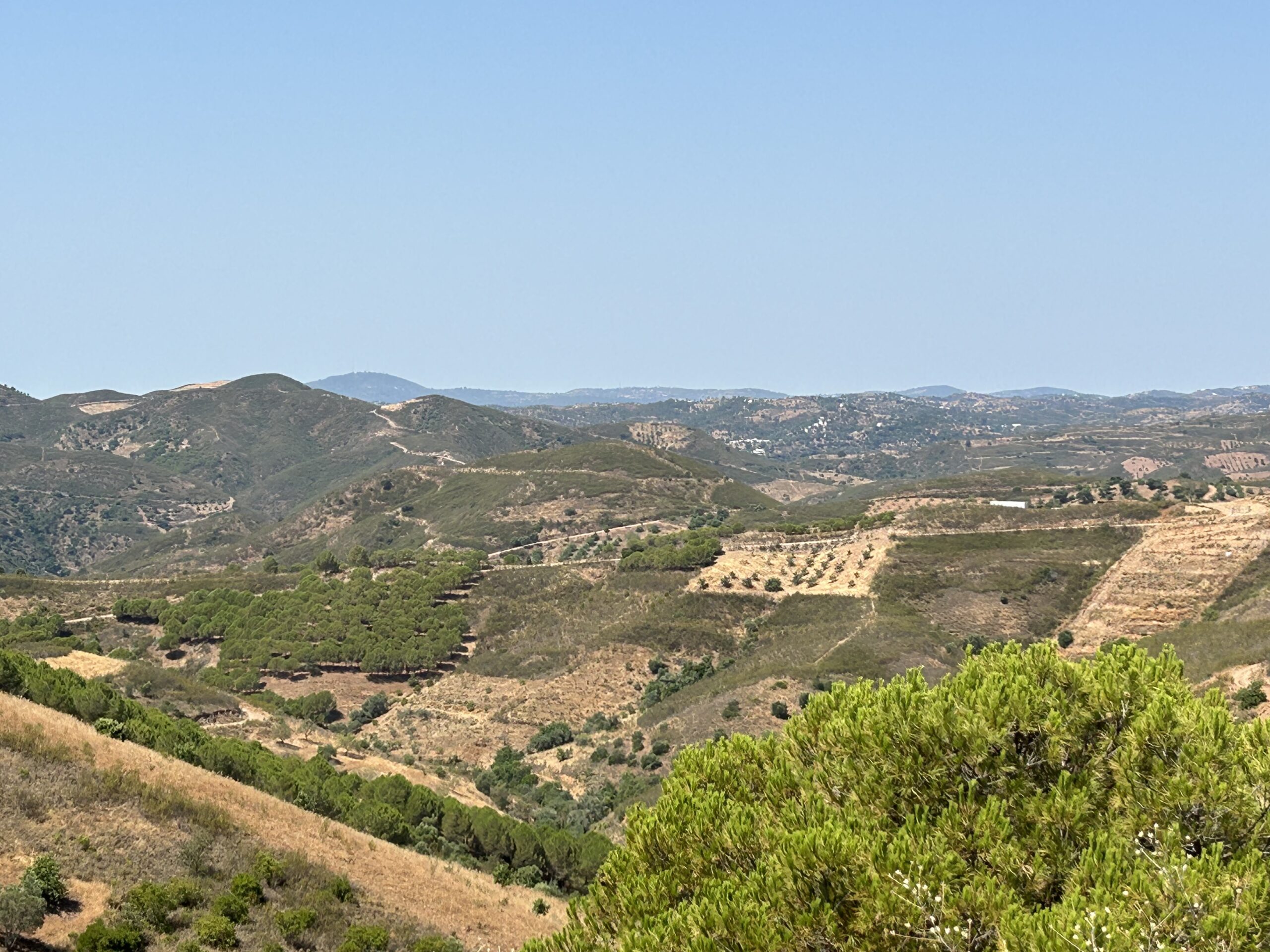 Portugal: Ontmoet dit prachtige land met een Roadtrip van 14 dagen